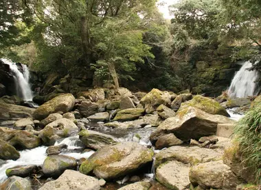 Meotodaki