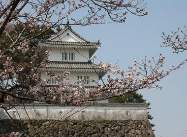 chateau sakura