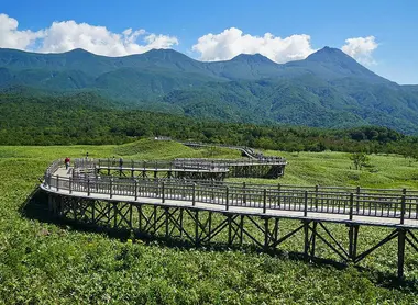 Promenade en hauteur à Shiretoko