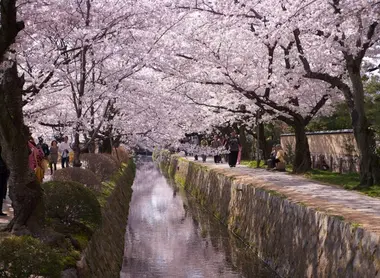 Philosopher's Path, Kyoto