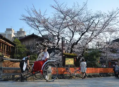 hanami