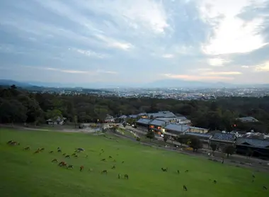 nara