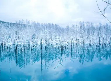 L'étang bleu de Biei