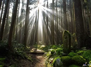 Kumano Ancient Road Nakahechi-route