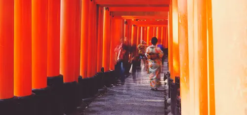 Group Tours