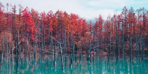 Etang au bleu éclatant, Hokkaido
