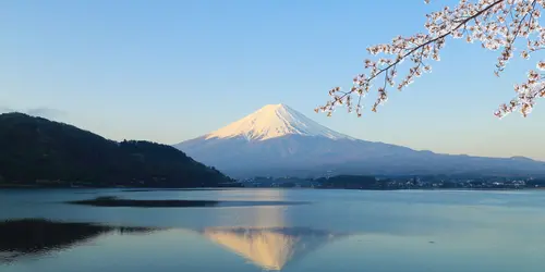 Mount Fuji during cherry blossom (Sakura)