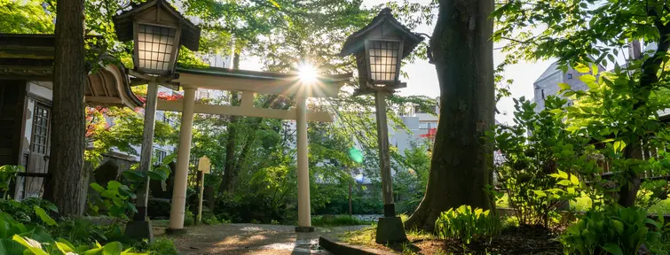 Torri gate over a path that is lined by trees