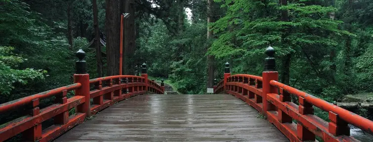 Wooden bridge with red wooden sides leading to a wooded area 