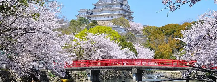 Le château de Himeji, le plus célèbre du Japon.