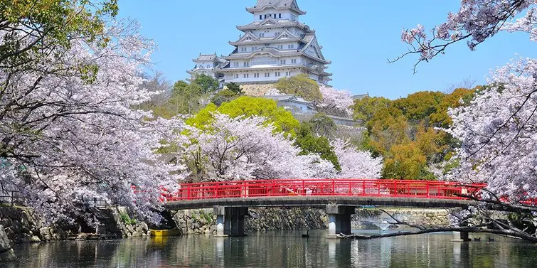 Le château de Himeji, le plus célèbre du Japon.